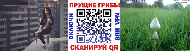 Псилоцибиновые грибы мицелий  Мамадыш 